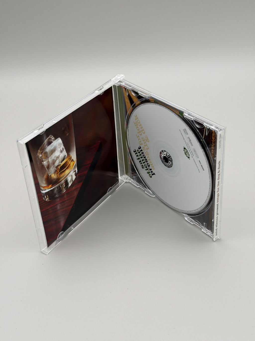 Saint Etienne Presents Songs for the Dog & Duck (CD)