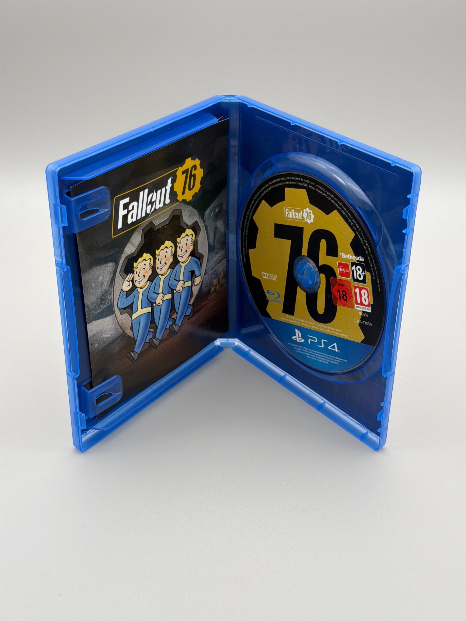 Fallout 76 (PS4)