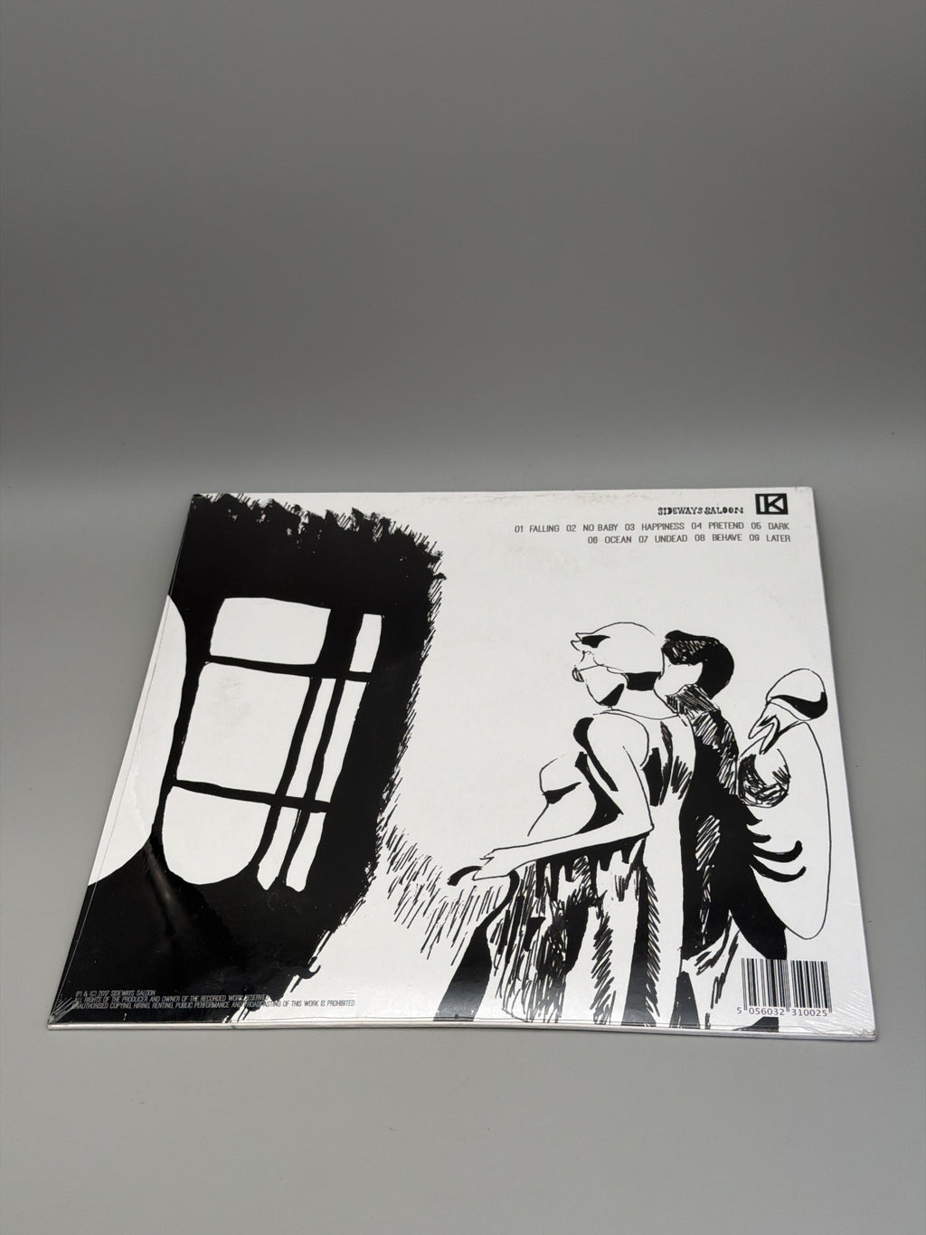 Constant Unfailing Night [LP] - Elle Mary & The Bad Men