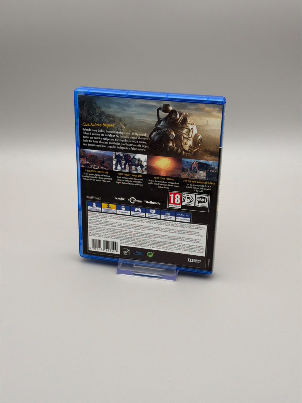 Fallout 76 (PS4)