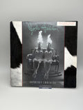 Jane s Addiction - Nothing s Shocking - LP
