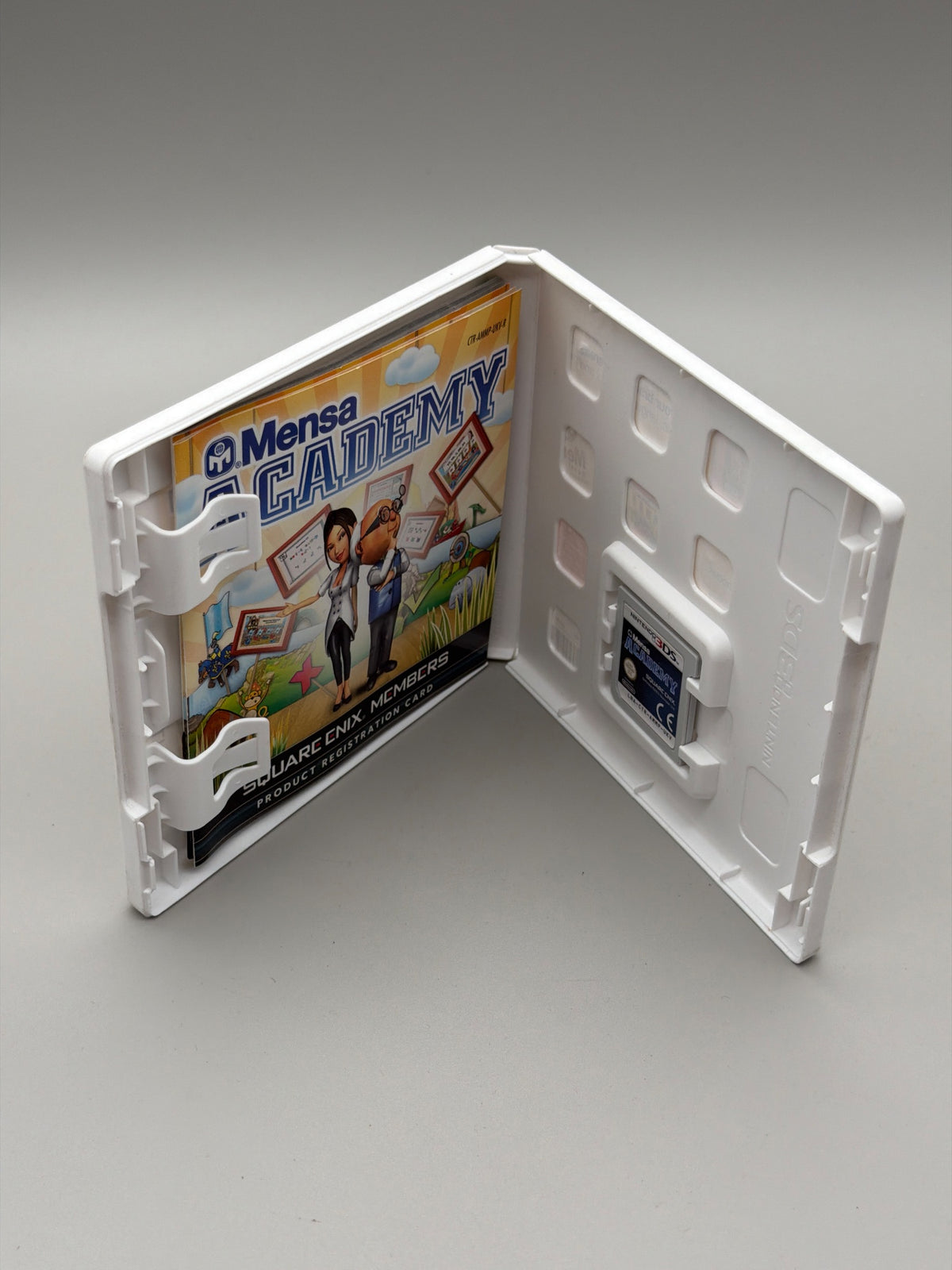Mensa Academy (Nintendo 3DS)