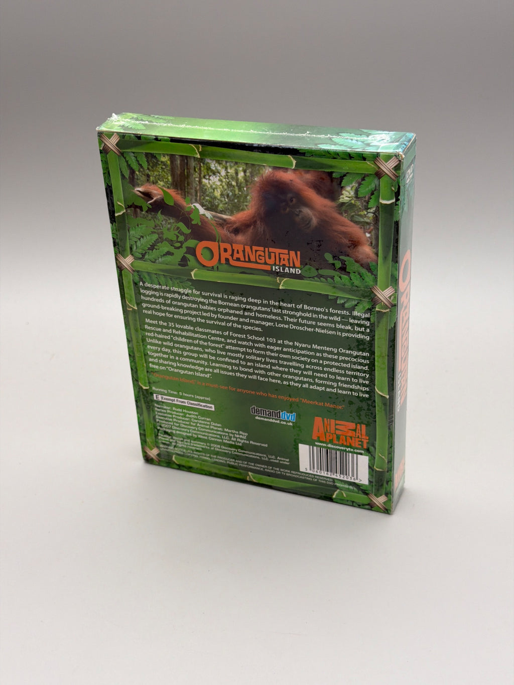 Orangutan Island