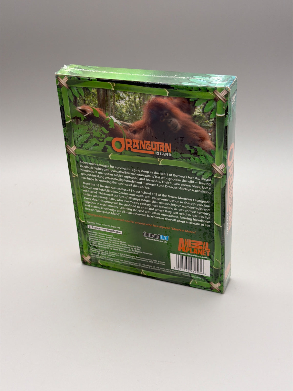 Orangutan Island