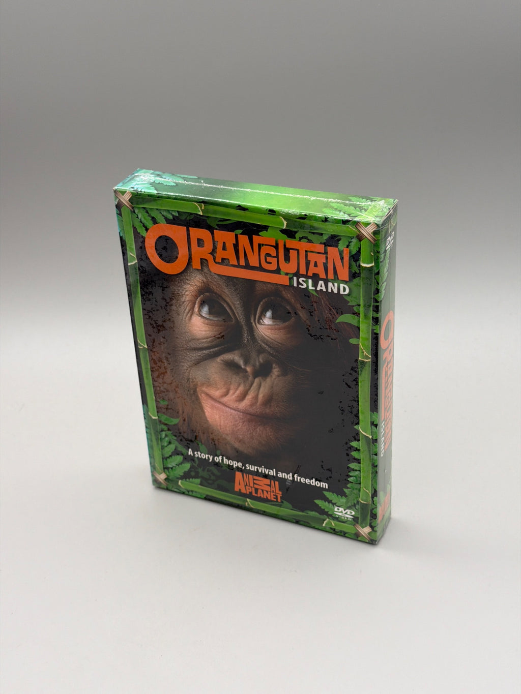 Orangutan Island
